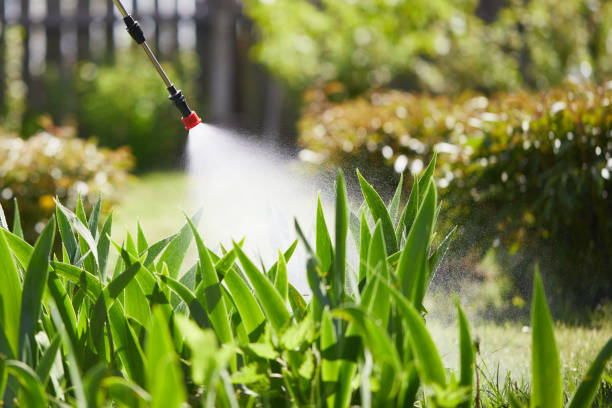 Tamper-Resistant Bait Stations for Rodents in Platteville