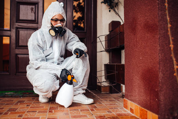 Attic and Crawl Space Rodent Treatment in Platteville