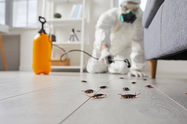 Commercial Rodent Management in Platteville